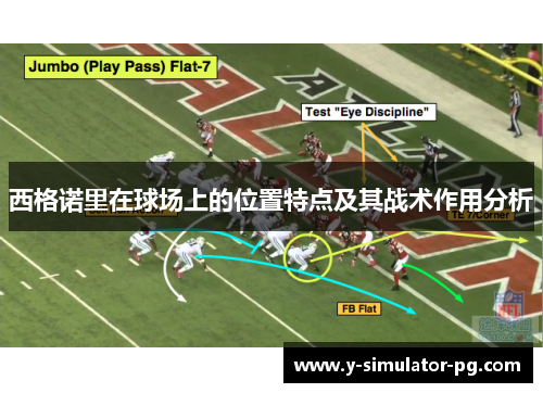 西格诺里在球场上的位置特点及其战术作用分析