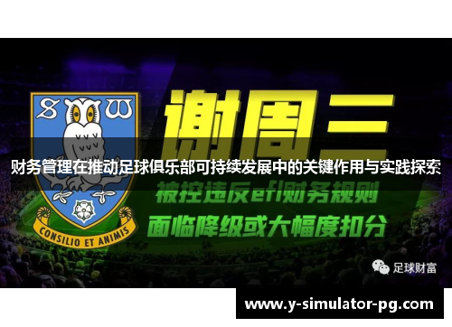 财务管理在推动足球俱乐部可持续发展中的关键作用与实践探索 财务管理在推动足球俱乐部可持续发展中的关键作用与实践探索