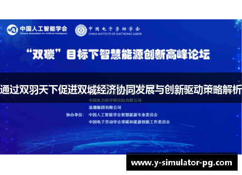 通过双羽天下促进双城经济协同发展与创新驱动策略解析 通过双羽天下促进双城经济协同发展与创新驱动策略解析