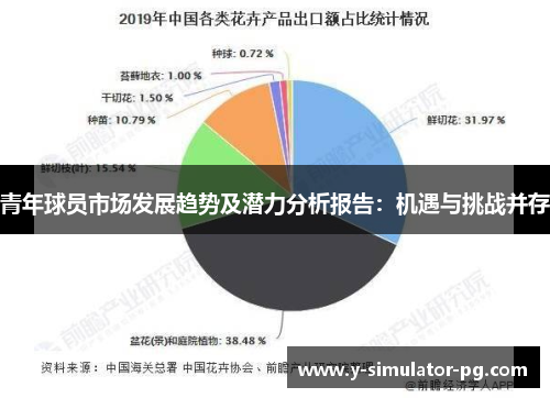 青年球员市场发展趋势及潜力分析报告：机遇与挑战并存